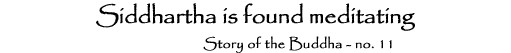 11. Siddhartha is found meditating
